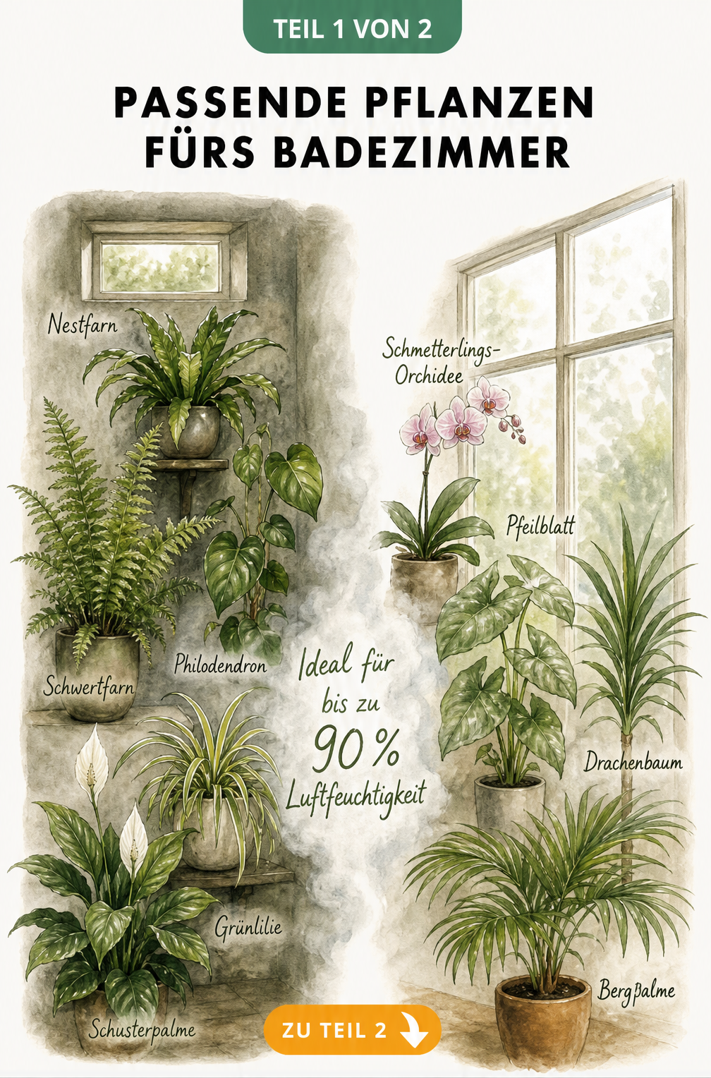 Illustration von Badezimmerpflanzen für helle und dunkle Standorte wie Nestfarn, Philodendron und Orchidee
