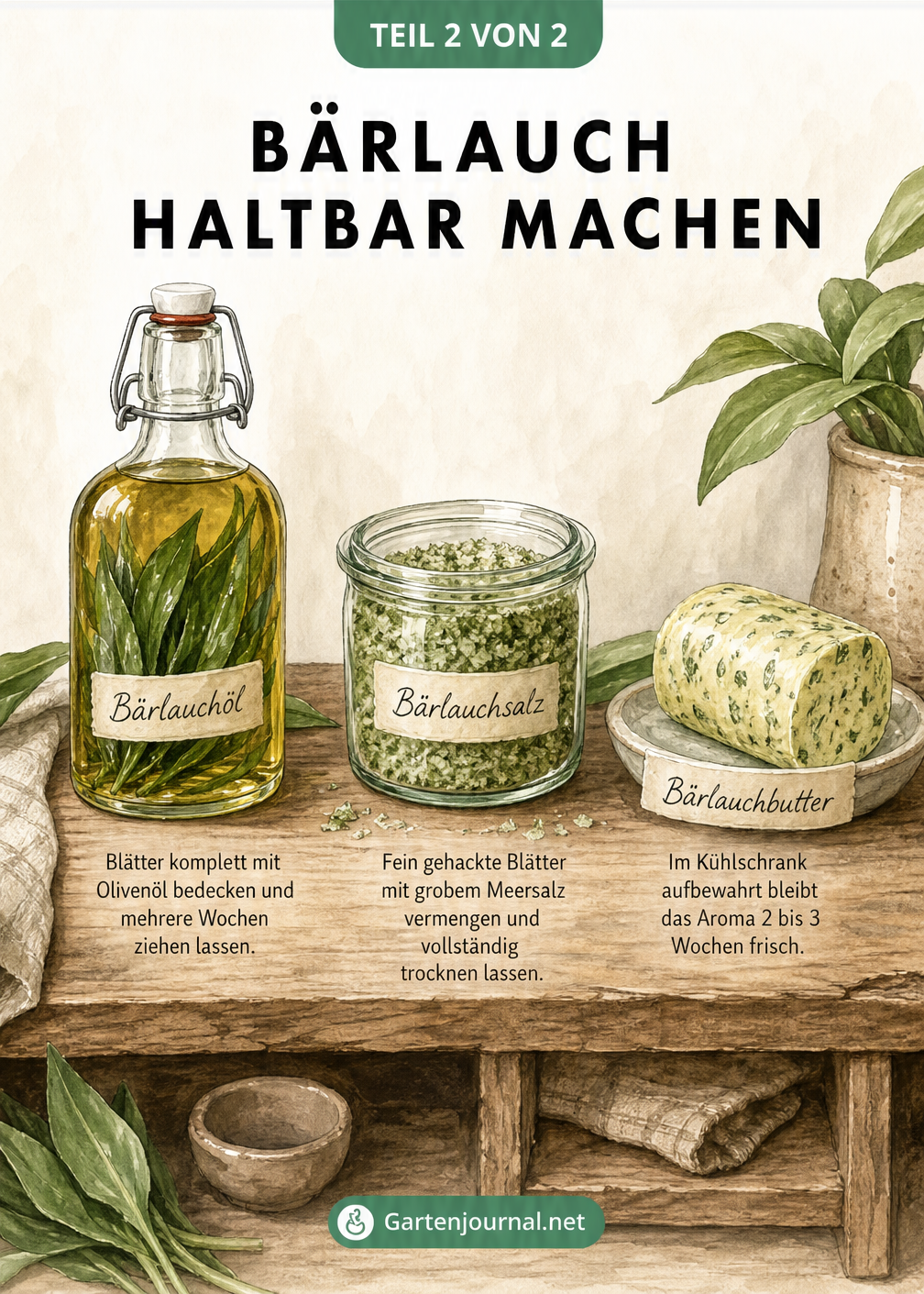 Illustration von drei Methoden, Bärlauch ohne Tiefkühler haltbar zu machen: Bärlauchöl in einer Flasche, Bärlauchsalz im Weckglas und Bärlauchbutter auf einem...