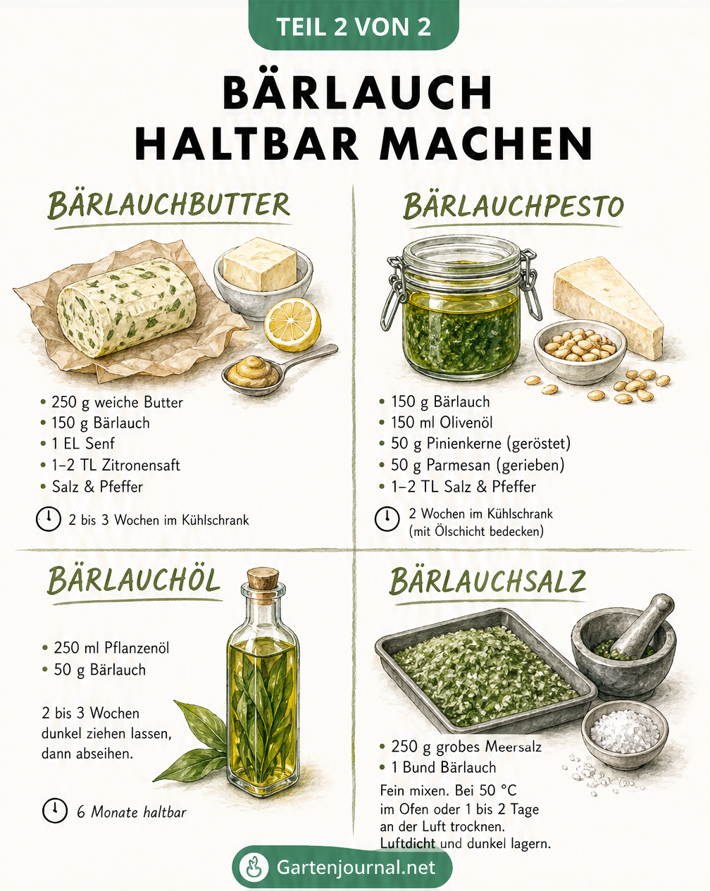 Illustration von vier Rezepten, um Bärlauch haltbar zu machen: Bärlauchbutter, Bärlauchpesto, Bärlauchöl und Bärlauchsalz mit Zutaten und Haltbarkeit.