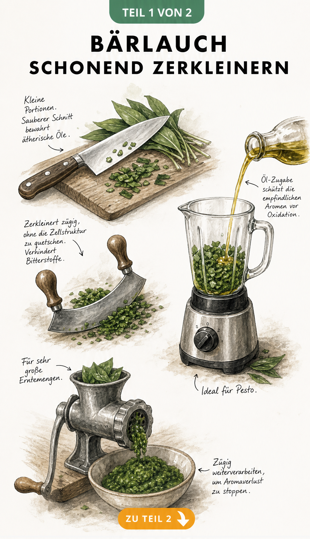 Illustration von drei Methoden zum Bärlauch zerkleinern: Messer, Mixer und Fleischwolf auf einer rustikalen Arbeitsfläche