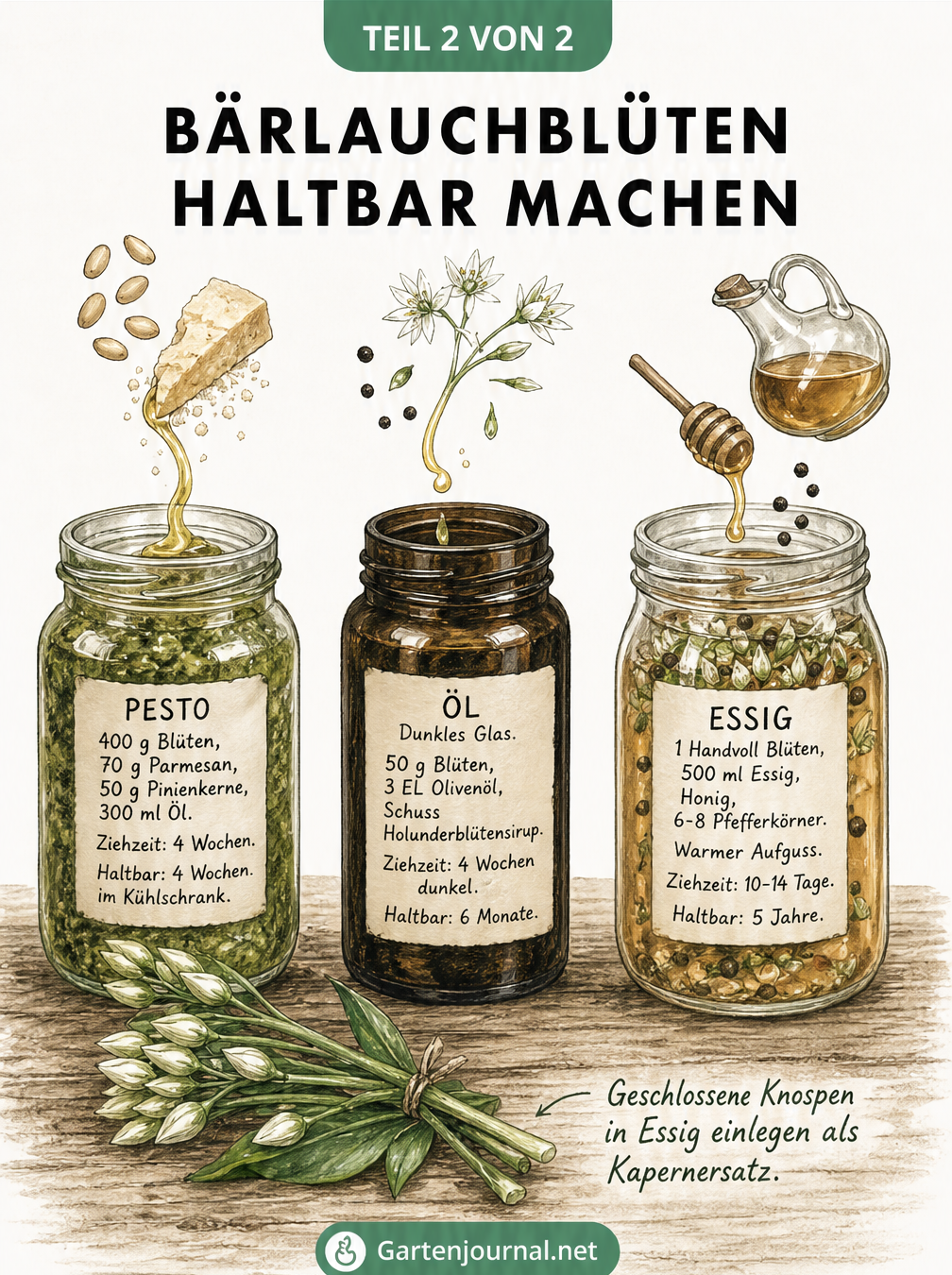 Drei Einmachgläser mit Bärlauchblüten-Pesto, Bärlauchblüten-Öl und Bärlauchblüten-Essig
