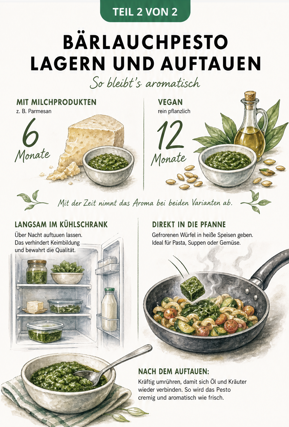 Illustration zur Haltbarkeit von Bärlauchpesto mit und ohne Parmesan sowie Tipps zum Auftauen