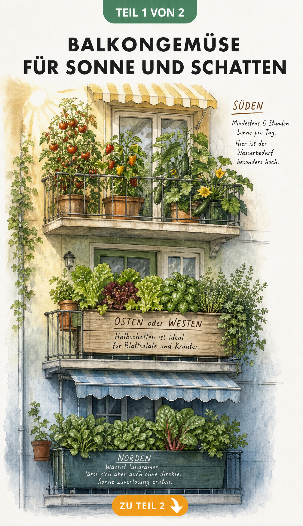 Illustration einer Hausfassade mit drei Balkonen, die Gemüsepflanzen für Sonne, Halbschatten und Schatten zeigen
