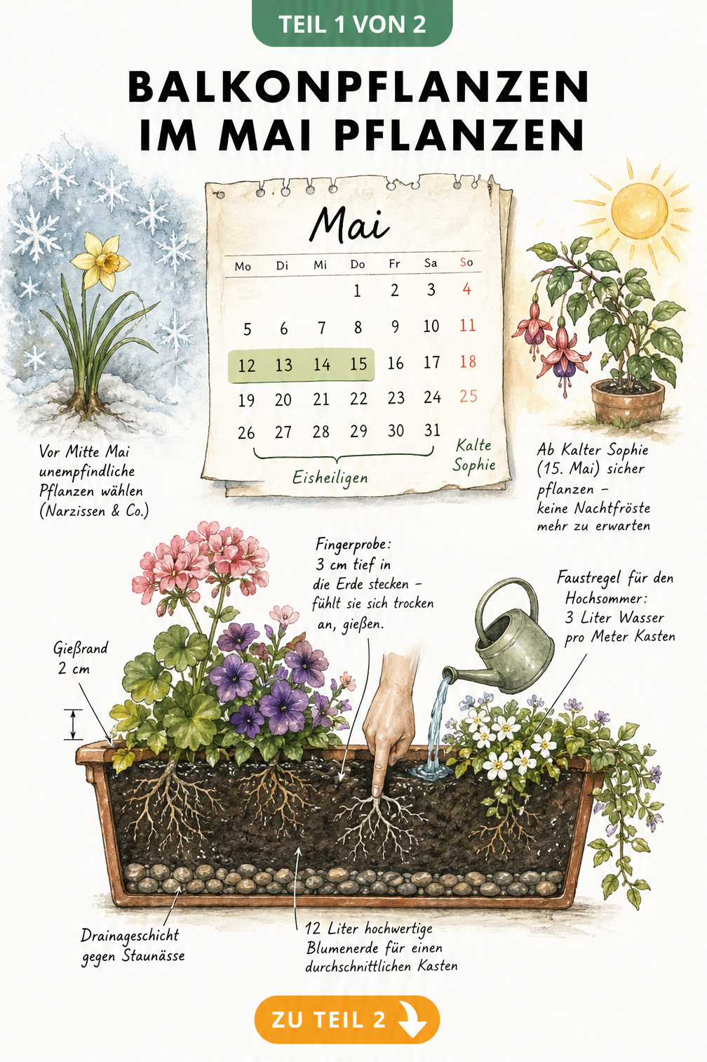 Handgezeichnete Illustration eines bepflanzten Balkonkastens mit Kalenderblatt zum Mai und den Eisheiligen