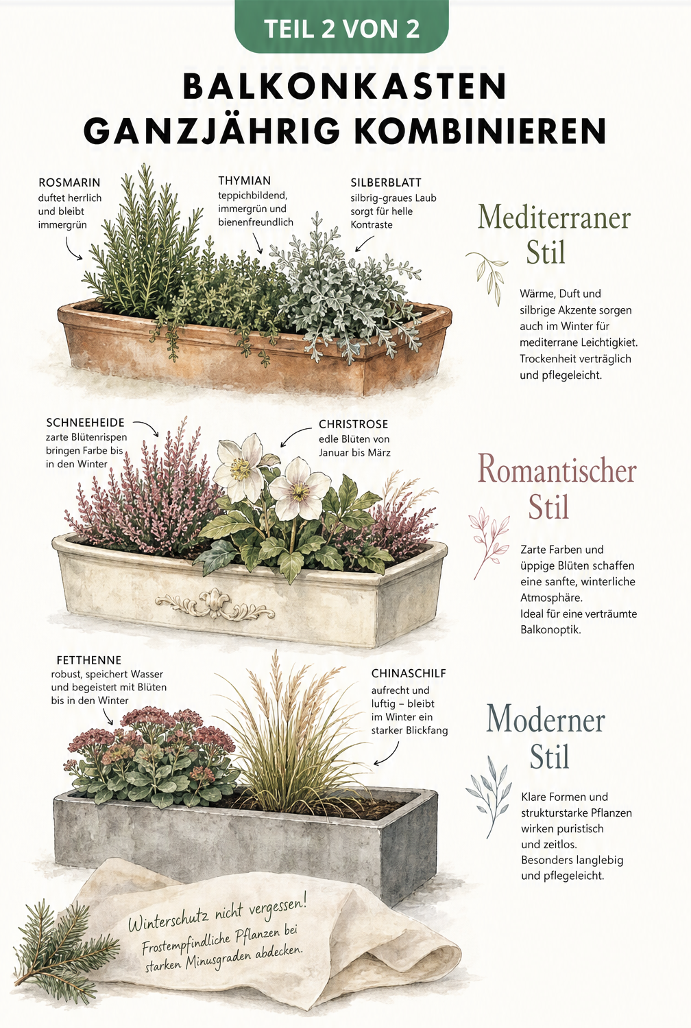 Drei illustrierte Balkonkästen in verschiedenen Stilen: mediterran mit Terrakotta, romantisch mit Schneeheide und Christrose, modern in Betonoptik mit...