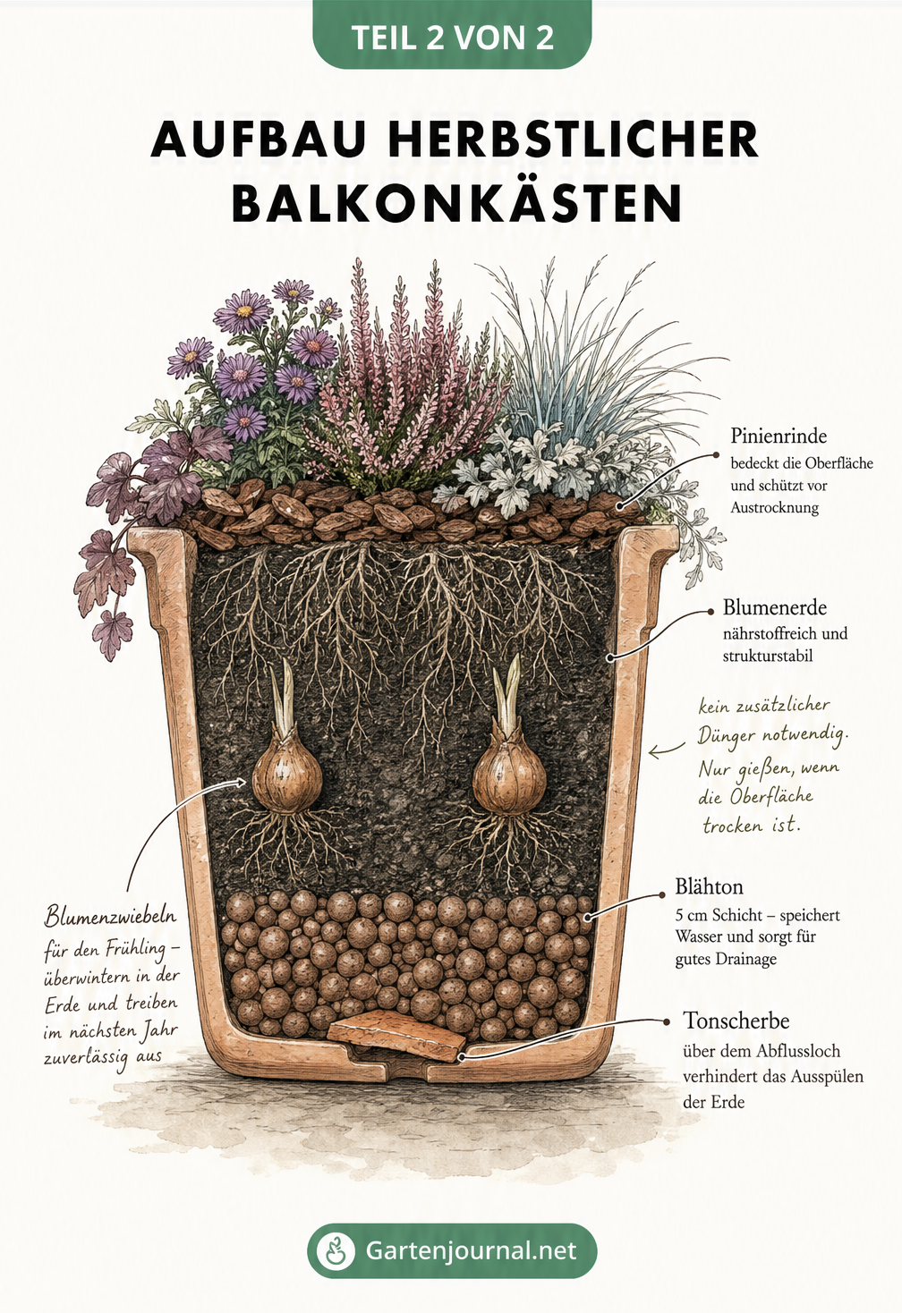 Schnittzeichnung eines Balkonkastens mit Schichten aus Blähton, Blumenerde, Blumenzwiebeln und Pinienrinde