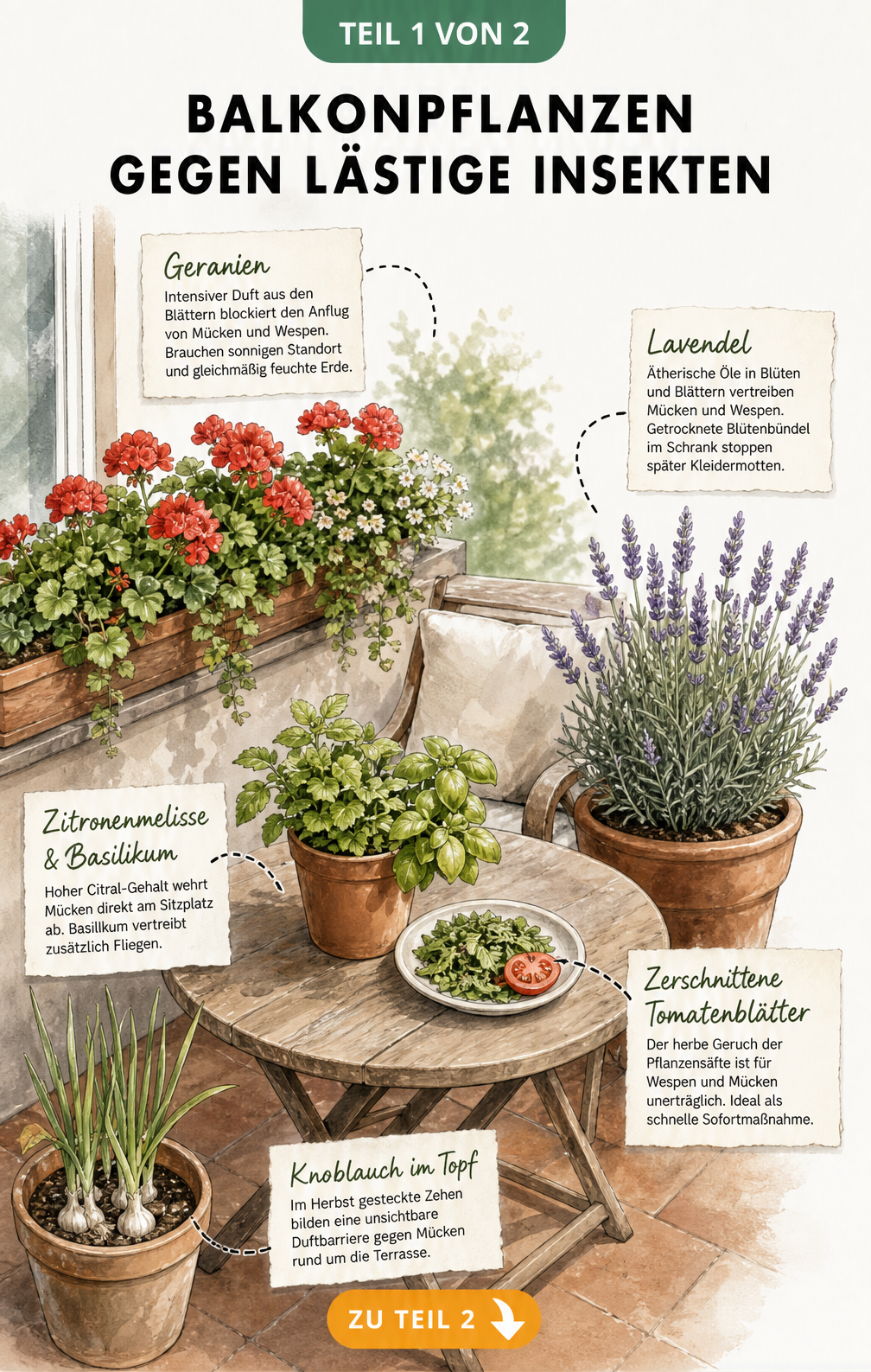 Aquarell-Illustration einer Terrasse mit insektenabwehrenden Balkonpflanzen wie Geranien, Lavendel und Basilikum
