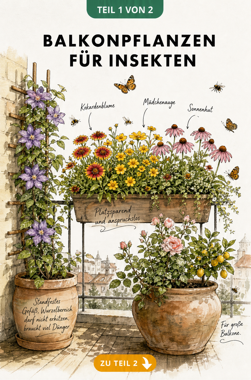 Aquarell-Zeichnung eines Balkons mit insektenfreundlichen Pflanzen wie Kokardenblume, Mädchenauge, Sonnenhut, Kletterpflanzen und Buschrose