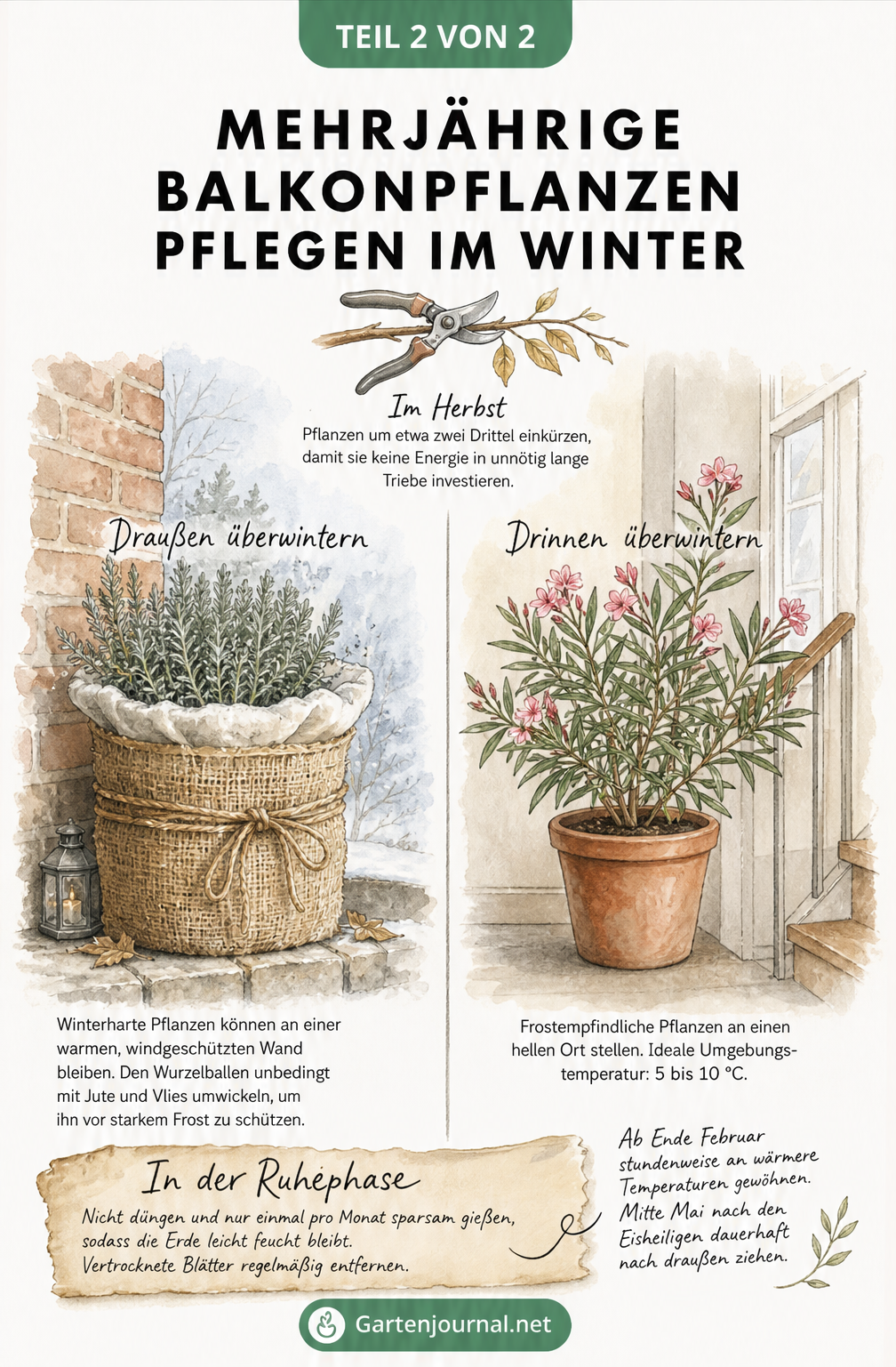 Illustration zur Überwinterung von Balkonpflanzen draußen mit Winterschutz und drinnen im kühlen Quartier