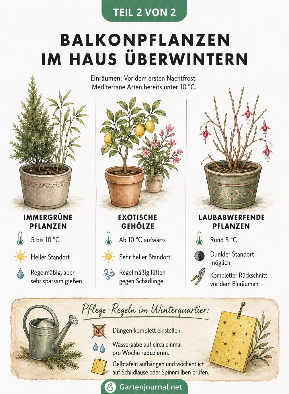 Übersichtstafel mit Pflegehinweisen für immergrüne, exotische und laubabwerfende Balkonpflanzen im Winterquartier