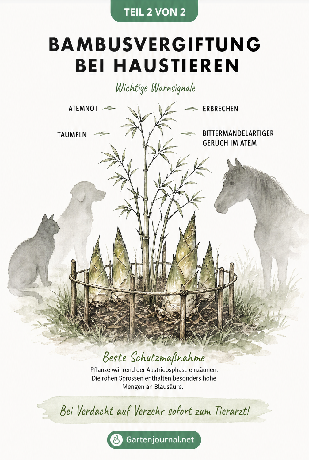 Zeichnung einer Bambuspflanze mit Schutzzaun und Umrissen von Haustieren