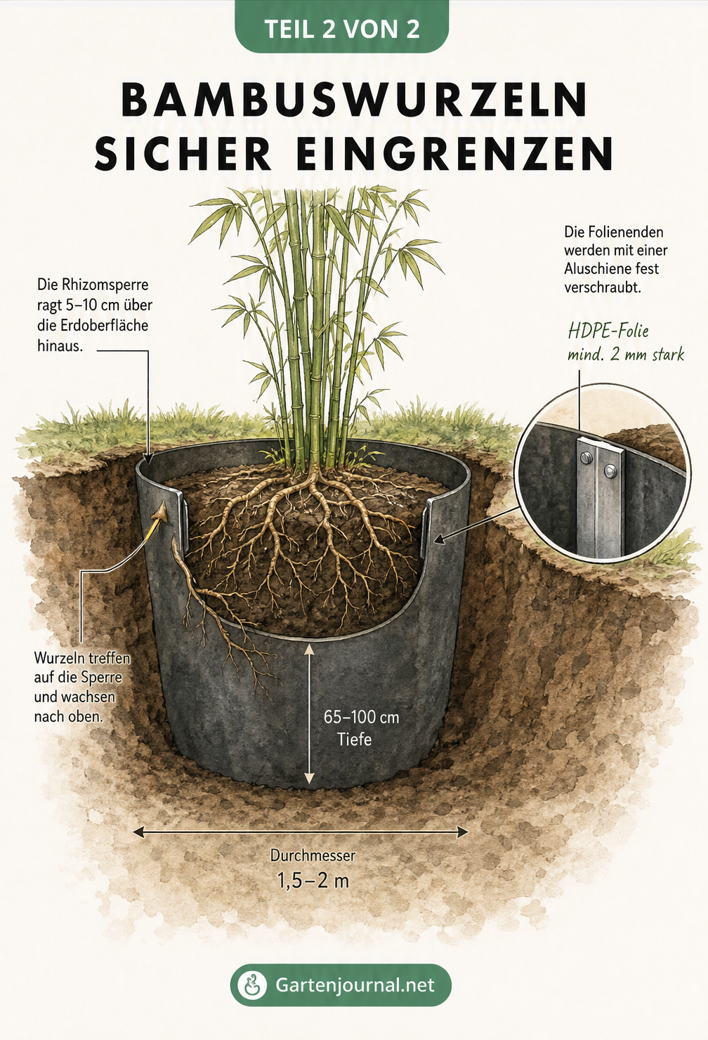 3D-Schnittansicht einer Rhizomsperre im Gartenboden, die einen Bambuswurzelballen umschließt und das Wurzelwachstum nach oben leitet.