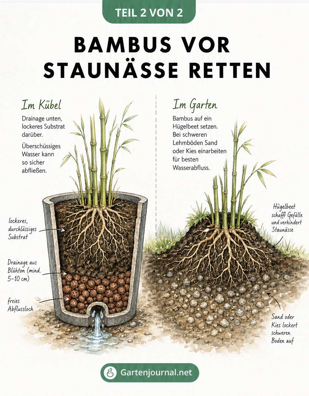 Querschnitt von Pflanzkübel und Gartenboden mit Drainage und Hügelbeet gegen Staunässe beim Bambus