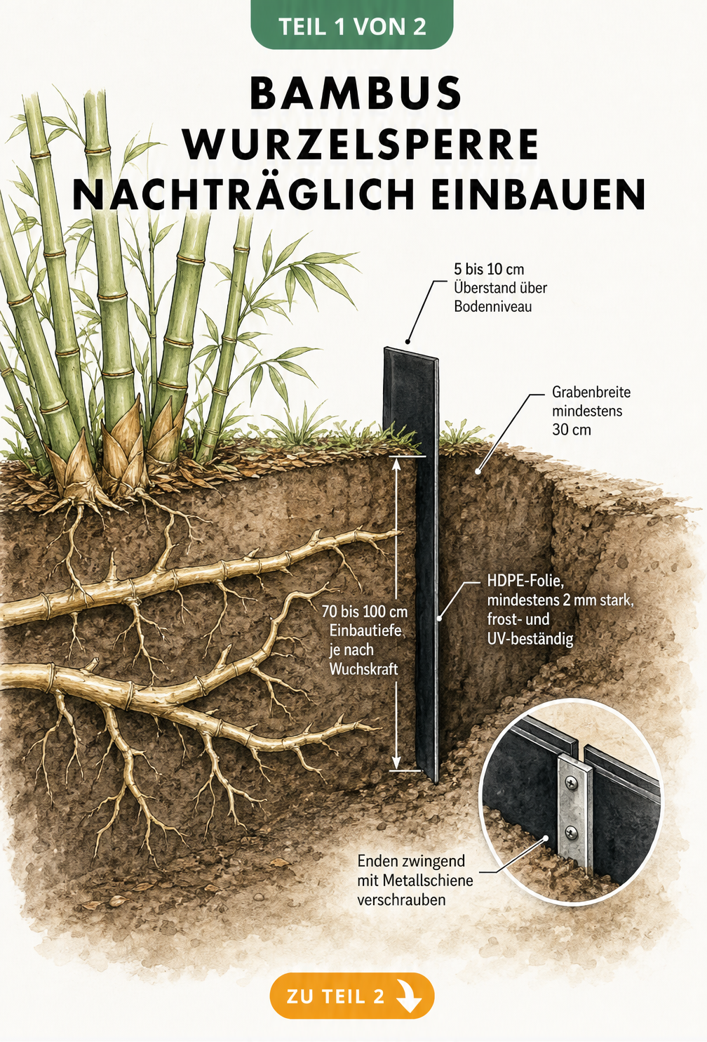 Querschnitt durch das Erdreich mit Bambus und einer schwarzen Rhizomsperre aus HDPE-Folie