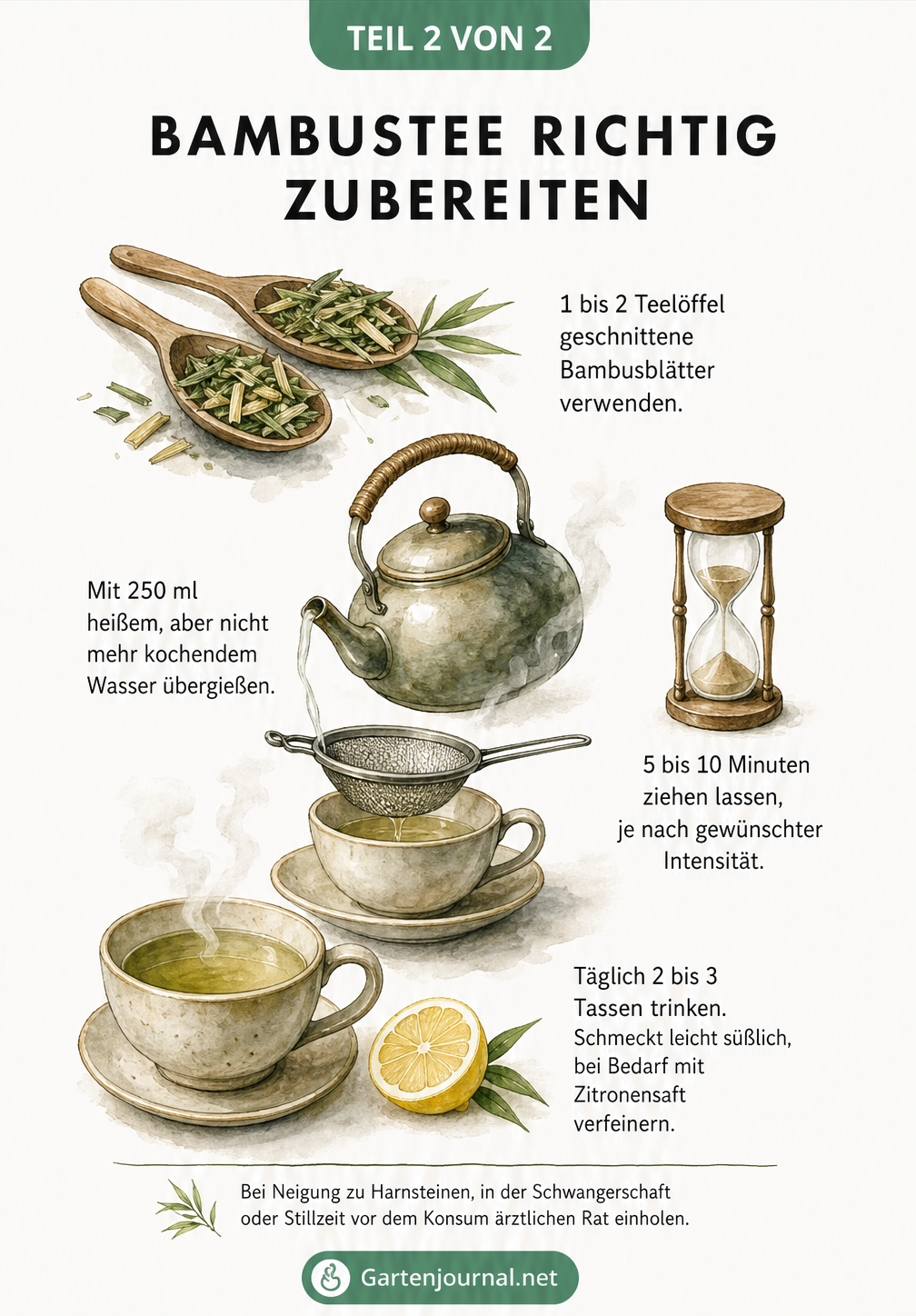 Illustration zur Zubereitung von Bambustee mit Teelöffeln, Wasserkessel und Teetasse sowie Hinweisen zur Ziehzeit und Anwendung