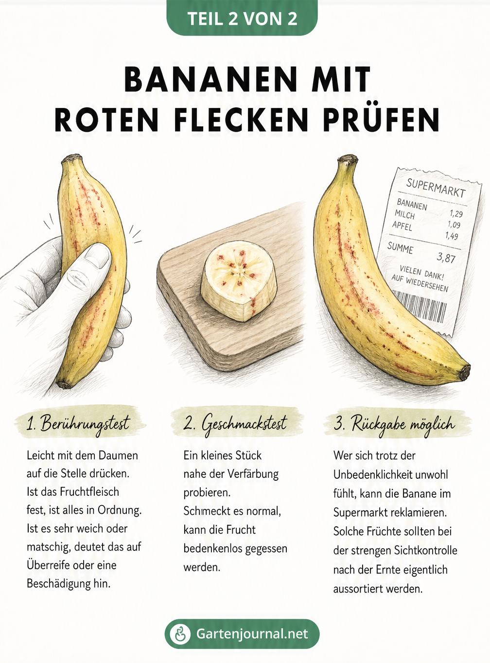 Skizzierte Anleitung zur Prüfung von Bananen mit roten Flecken durch Berührung, Geschmackstest und Rückgabeoption