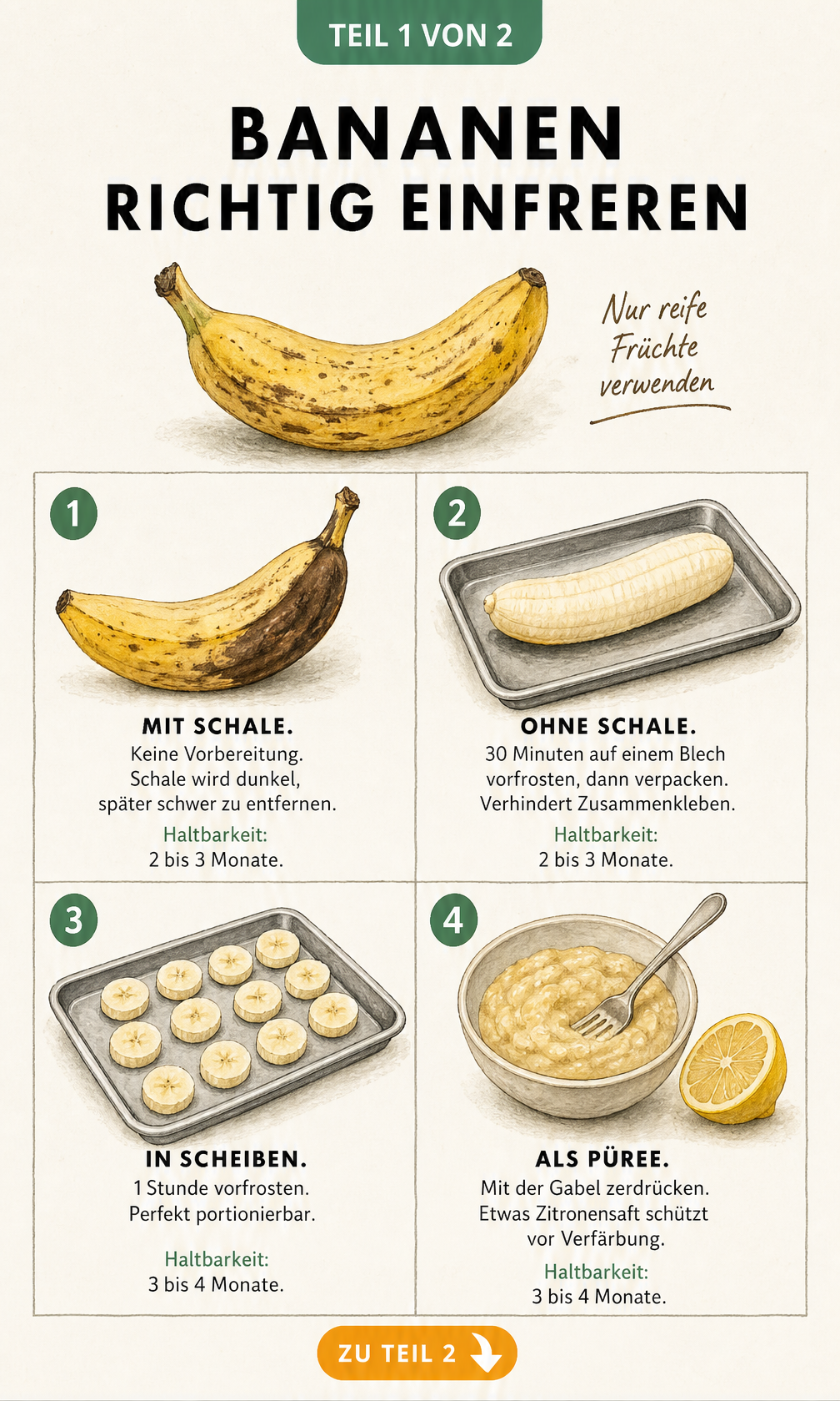 Illustration von vier Methoden zum Einfrieren von Bananen: mit Schale, ohne Schale, in Scheiben und als Püree