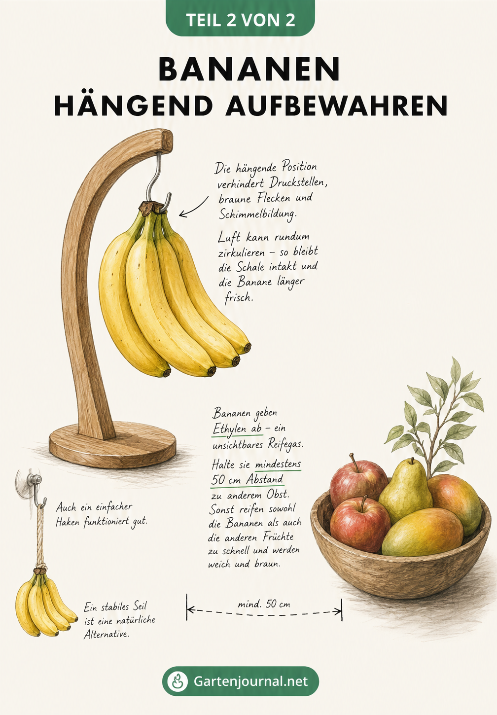Illustration eines Bananenständers aus Holz mit hängenden Bananen und einer getrennten Obstschale.
