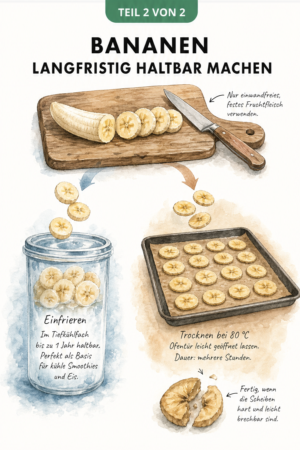 Illustration des Konservierens von Bananen: Eine geschälte Banane wird in Scheiben geschnitten und entweder im Glasbehälter eingefroren oder auf einem...