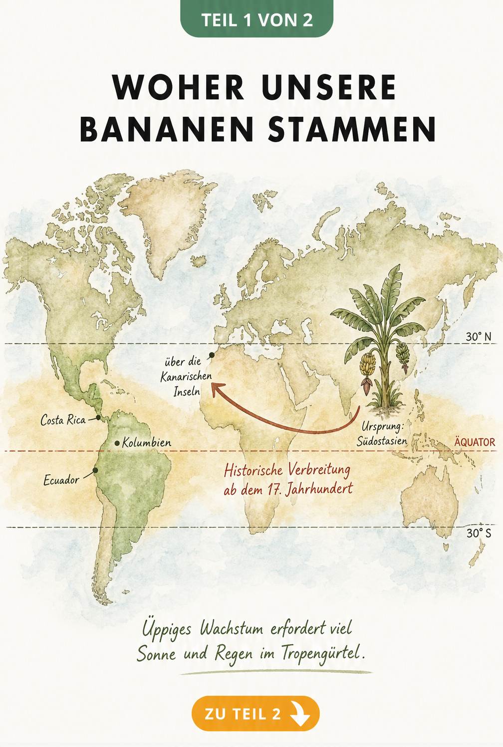Handgezeichnete Weltkarte mit dem Bananengürtel und der historischen Verbreitung von Bananen