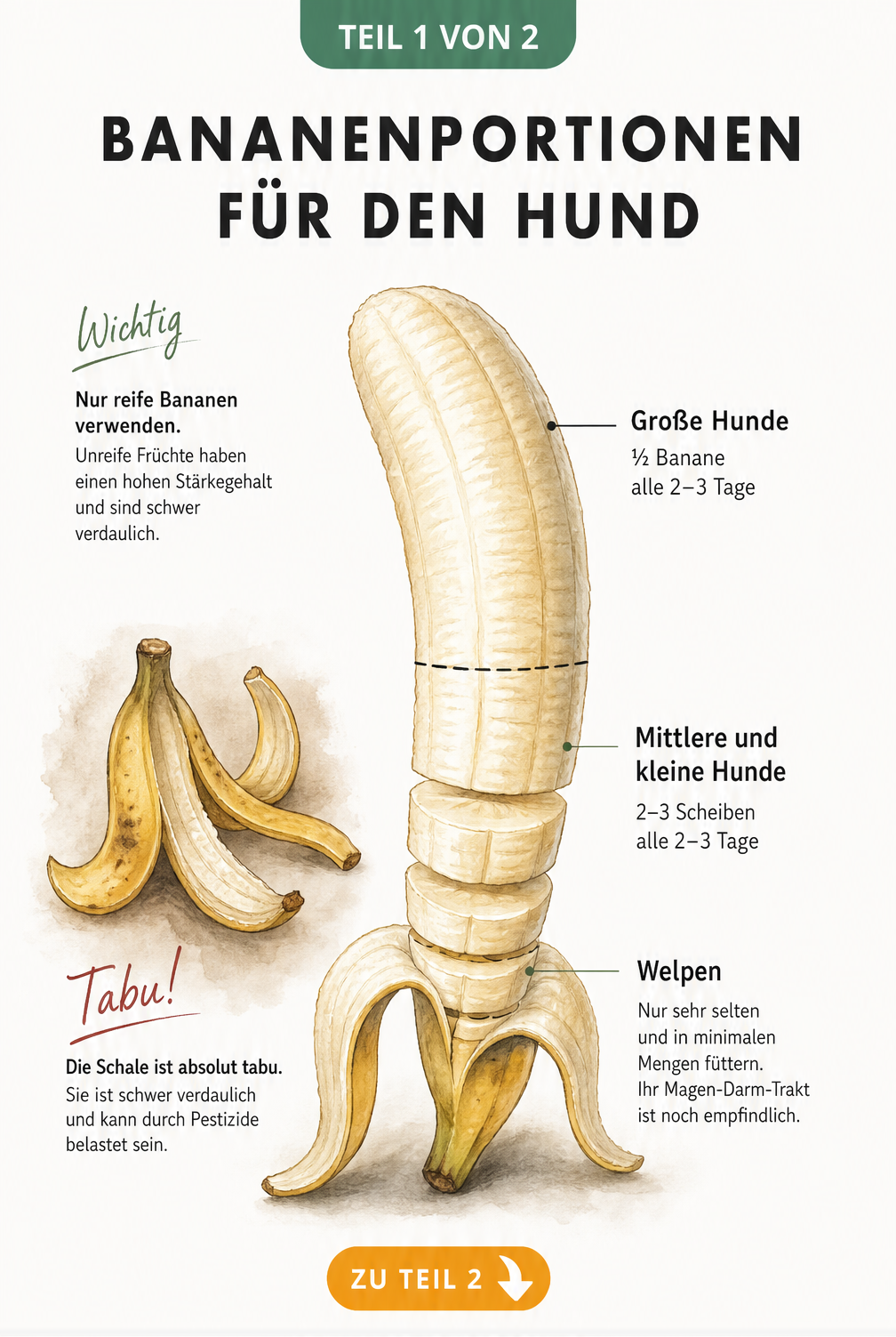 Illustration einer geschälten Banane als Messskala für Hundefutter-Portionen