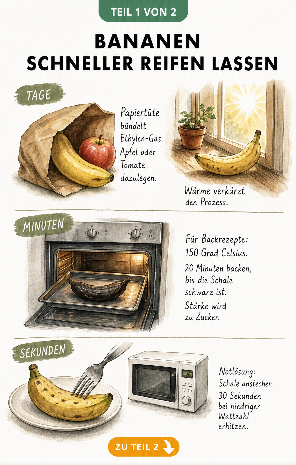 Illustration mit Tipps, wie Bananen in Tagen, Minuten oder Sekunden schneller reifen