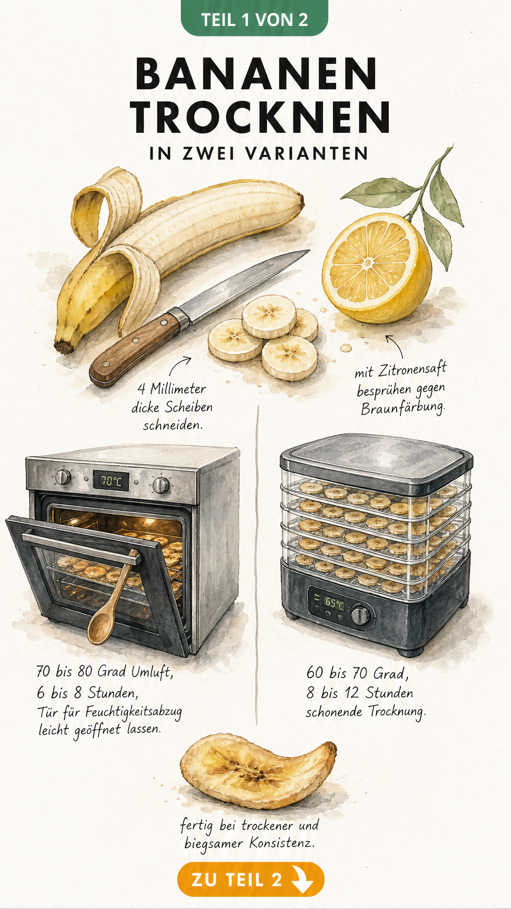 Skizze von Bananenscheiben, Zitrone, Backofen und Dörrautomat mit Angaben zu Temperatur und Dauer