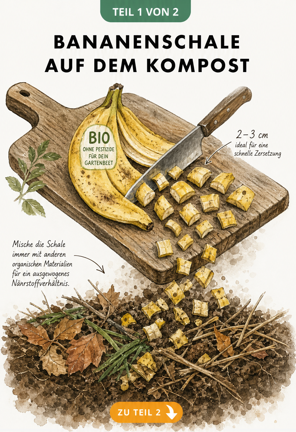 Illustration einer Bananenschale, die auf einem Holzbrett in 2 bis 3 cm große Stücke geschnitten wird, um sie mit Herbstlaub und Grünschnitt zu kompostieren.