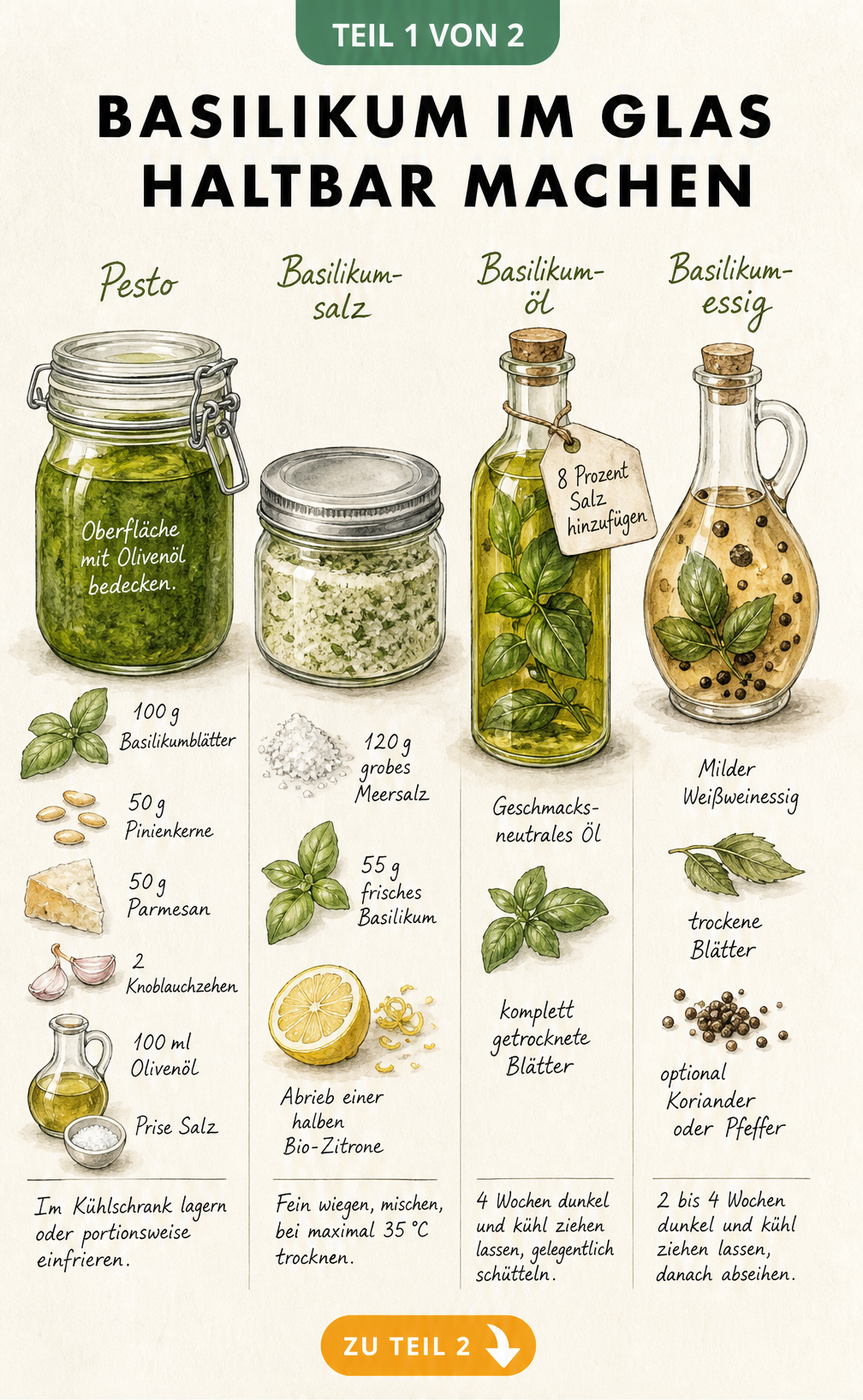Illustration von vier Glasgefäßen mit Basilikum-Pesto, Basilikum-Salz, Basilikum-Öl und Basilikum-Essig sowie den jeweiligen Zutaten.