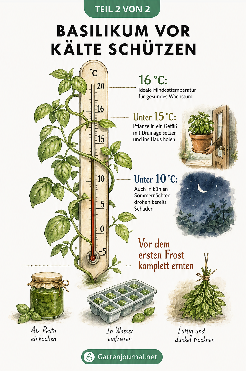 Thermometer mit Basilikum und Temperaturangaben zum Kälteschutz sowie Methoden zur Konservierung vor dem Frost