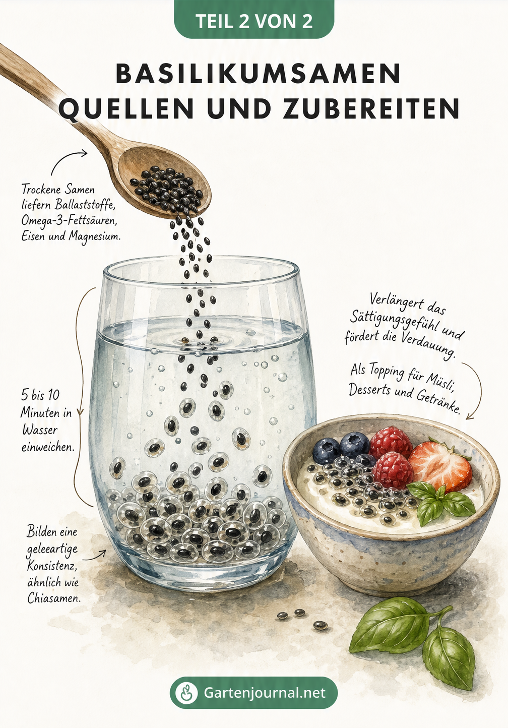 Wasserglas mit einweichenden Basilikumsamen und einem Holzlöffel, daneben eine Schale Joghurt mit Früchten