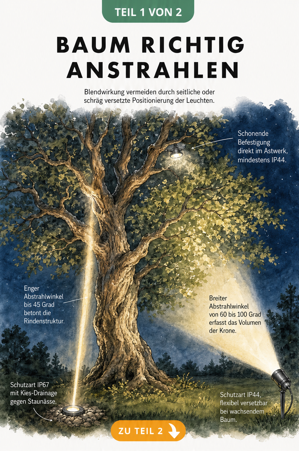 Illustration eines Baumes in der Nacht, beleuchtet durch Bodeneinbauleuchte und Erdspießleuchte mit Erklärungen zu Abstrahlwinkel und Schutzart