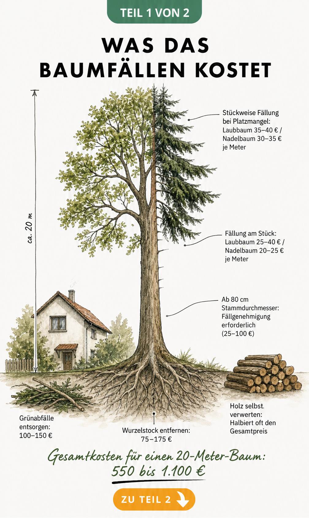 Illustration eines Baumes mit Kostenangaben für Fällung, Wurzelentfernung und Entsorgung