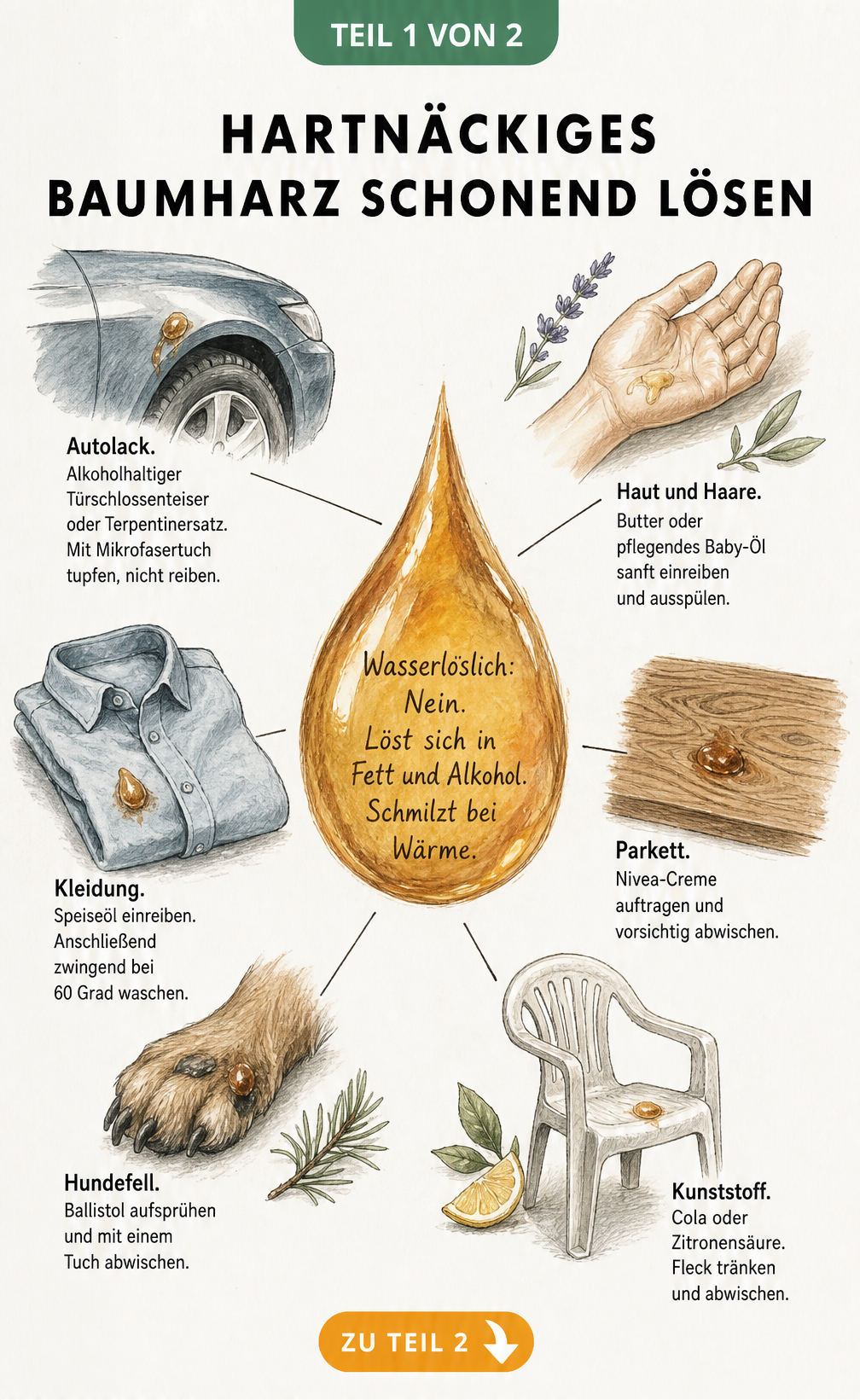 Illustration von Hausmitteln wie Öl, Butter und Alkohol, um Baumharz von Kleidung, Haut, Autolack und Holz zu entfernen.