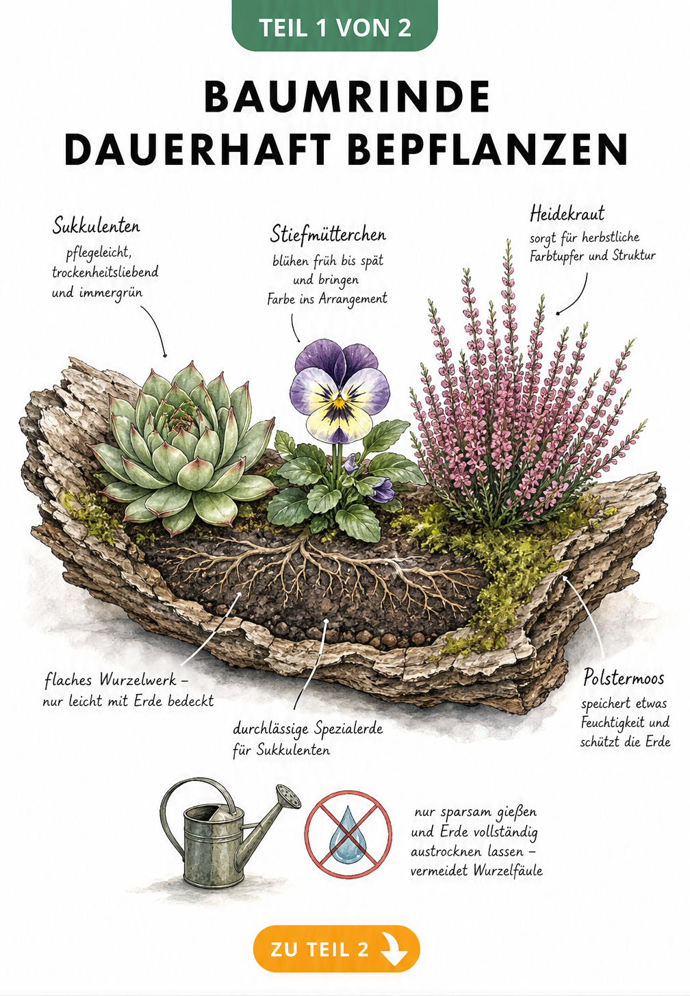 Querschnitt einer Baumrinde als Pflanzgefäß mit Sukkulenten, Stiefmütterchen und Heidekraut