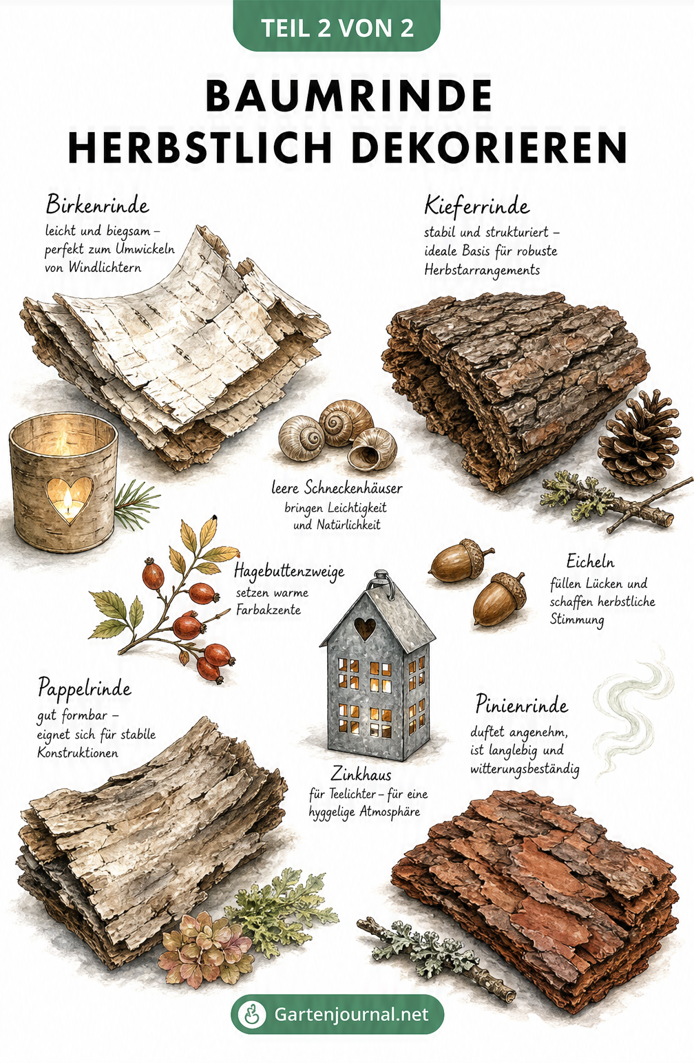 Vier verschiedene Baumrindensorten mit herbstlichen Naturmaterialien wie Eicheln und Hagebutten