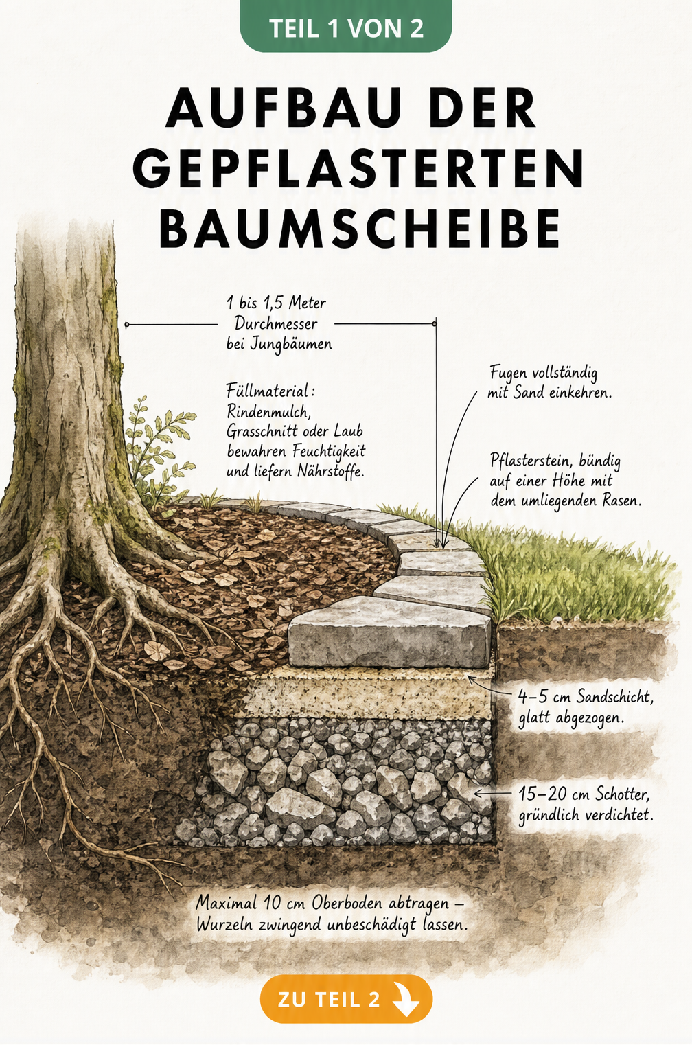 Querschnitt einer gepflasterten Baumscheibe mit Schotter, Sand und Pflastersteinen