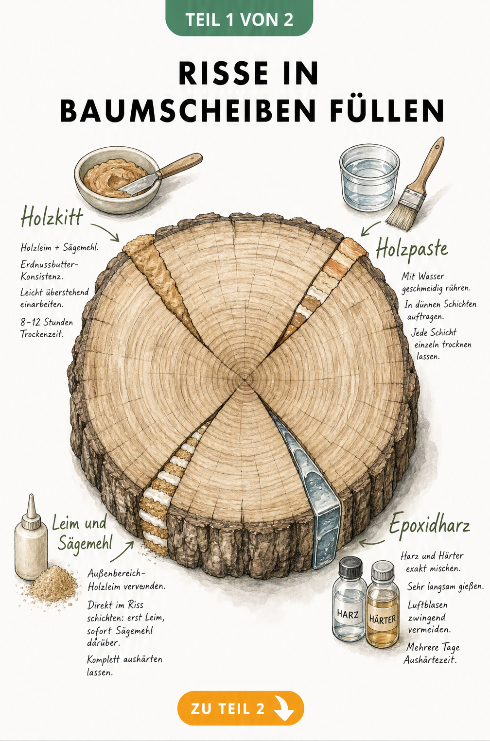 Illustration einer Baumscheibe mit vier Rissen, die verschiedene Füllmethoden wie Holzkitt, Holzpaste, Epoxidharz und Leim mit Sägemehl zeigen.
