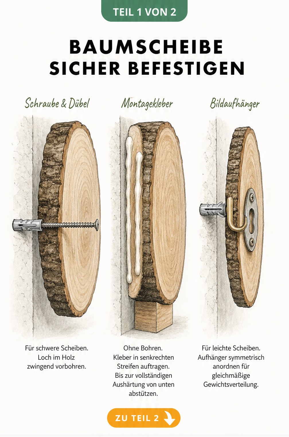Drei Methoden zur Befestigung einer Baumscheibe an der Wand: Schraube und Dübel, Montagekleber und Bildaufhänger im Querschnitt.