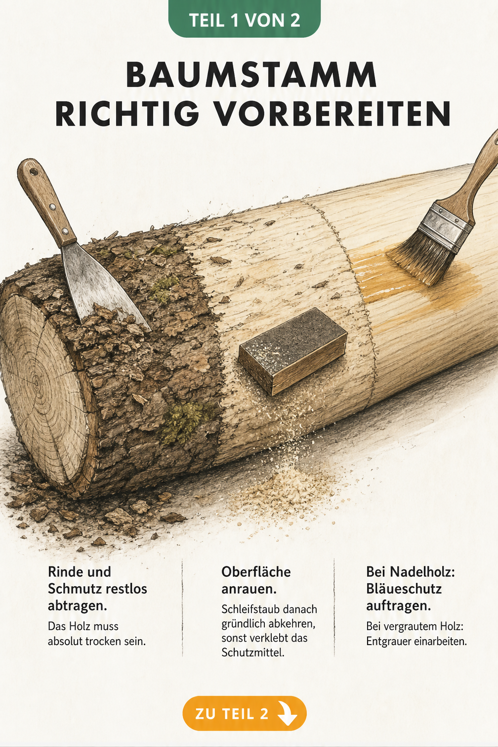 Illustration eines Baumstamms, der in drei Schritten für die Imprägnierung vorbereitet wird: Rinde entfernen, abschleifen und Bläueschutz auftragen.