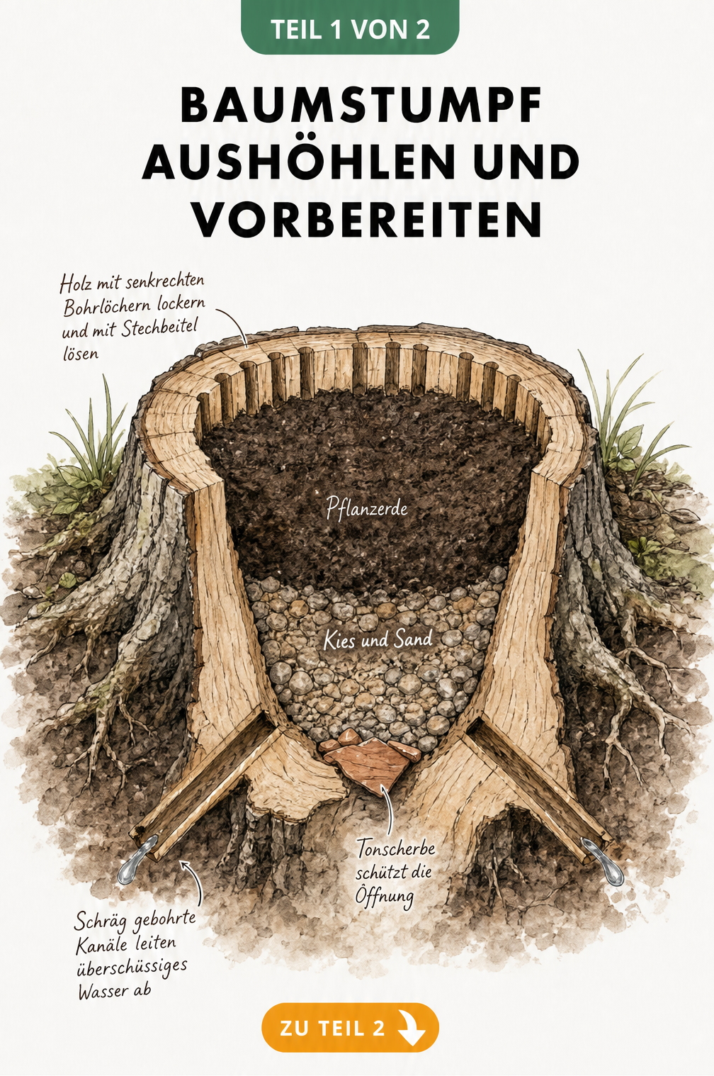 Schnittdarstellung eines ausgehöhlten Baumstumpfes mit Drainage, Kies und Pflanzerde