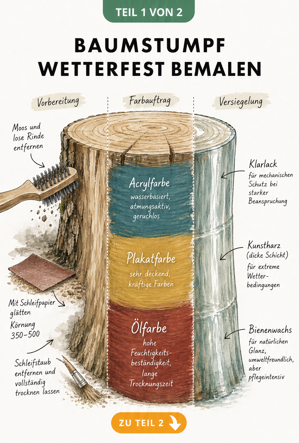 Illustration eines Baumstumpfes, der in drei Zonen für Vorbereitung, Farbauftrag und Versiegelung unterteilt ist