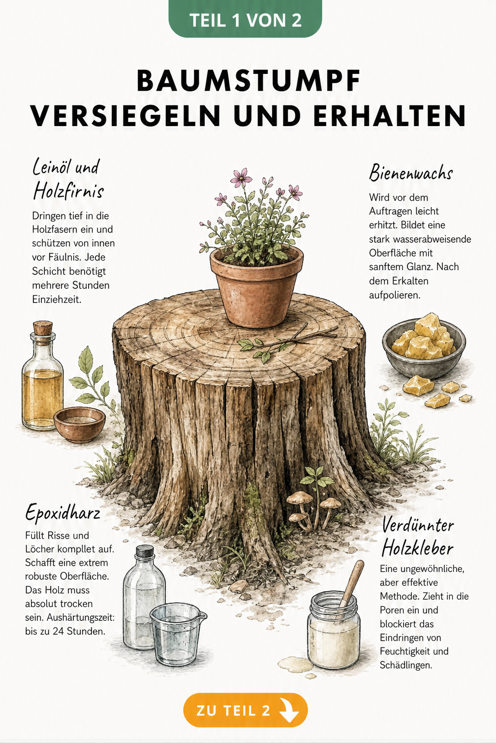Illustration eines Baumstumpfes als Gartentisch mit Texten zu Versiegelungsmaterialien wie Leinöl, Bienenwachs, Epoxidharz und Holzkleber