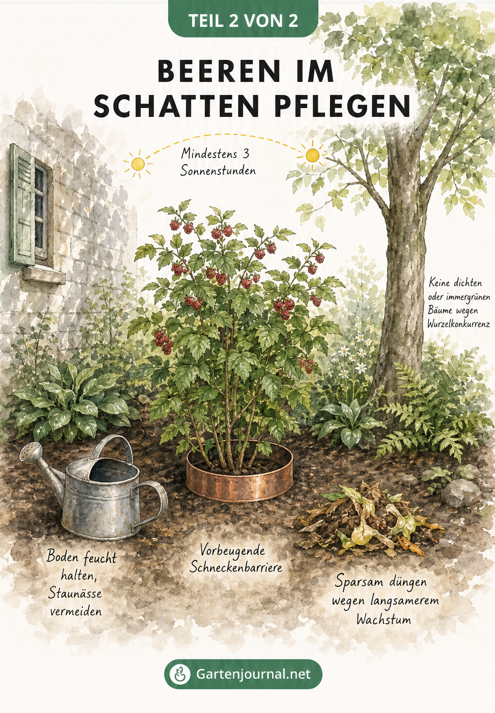 Gartenszene mit Beerenstrauch im Halbschatten, Gießkanne, Schneckenkragen und Dünger