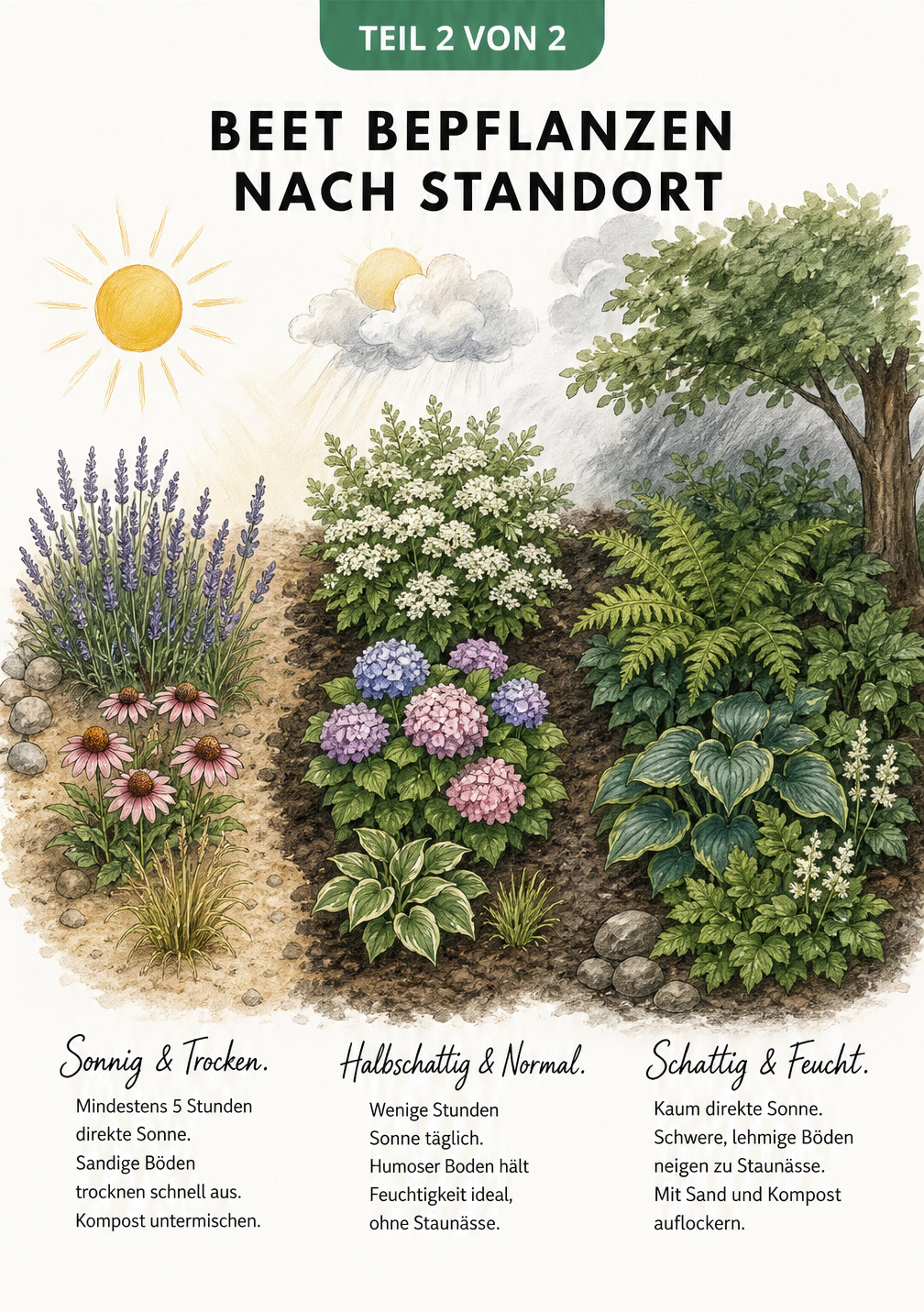 Gartenlandschaft mit drei Zonen: sonnig und trocken, halbschattig und normal, schattig und feucht