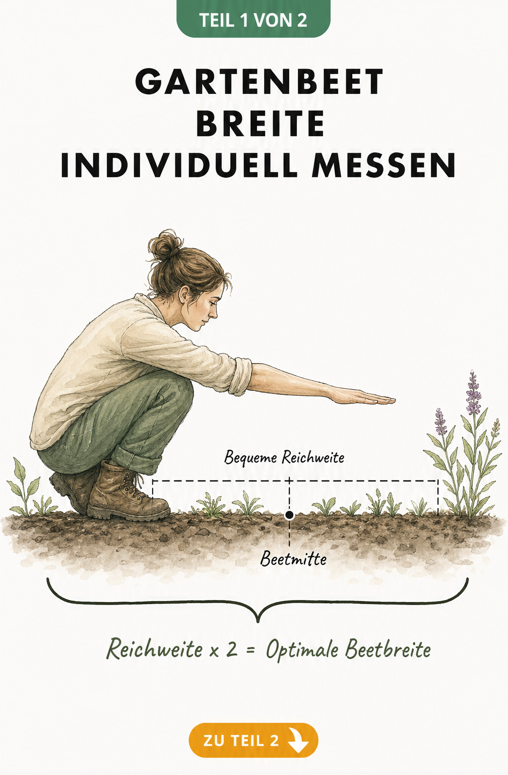 Illustration einer hockenden Person, die die optimale Beetbreite durch Ausstrecken des Arms misst