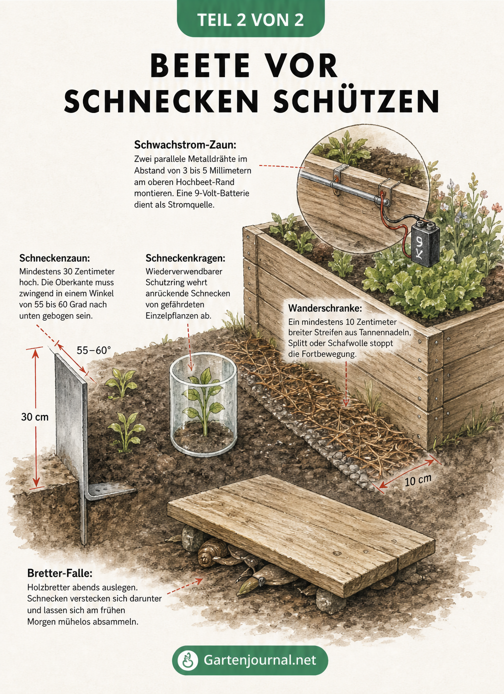Skizze eines Gartenbeets mit Schneckenzaun, Schneckenkragen, Wanderschranke, Schwachstrom-Zaun und Bretter-Falle