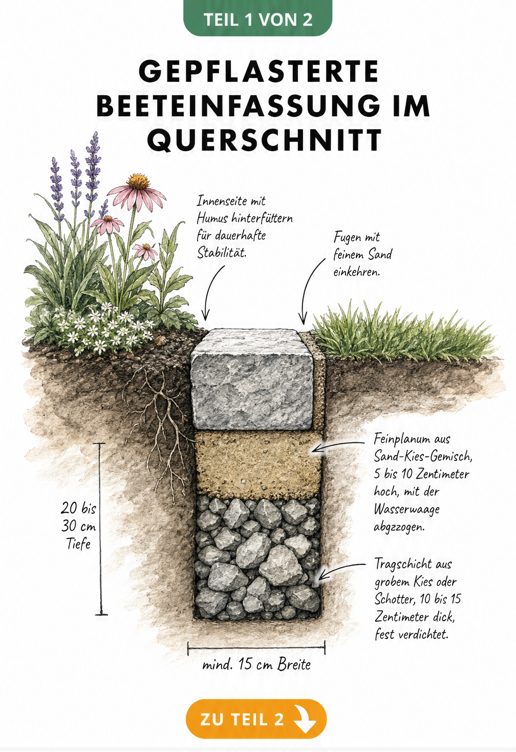 Querschnitt einer gepflasterten Beeteinfassung mit Tragschicht, Feinplanum und Pflasterstein