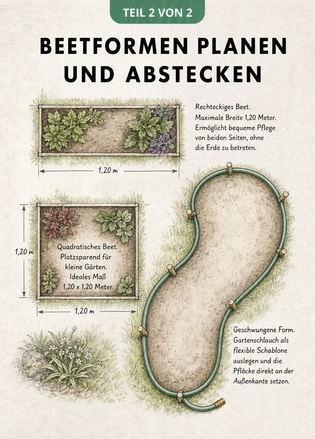 Skizze verschiedener Beetformen aus der Vogelperspektive: rechteckig, quadratisch und geschwungenes Nierenbeet