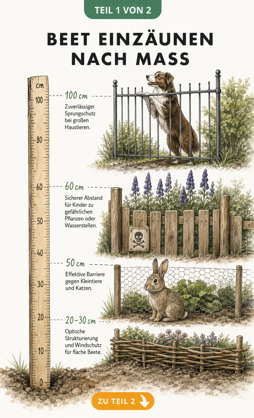 Illustration eines Gartenbeets im Querschnitt mit verschiedenen Zaunhöhen für Pflanzen, Kleintiere, Kinder und große Hunde